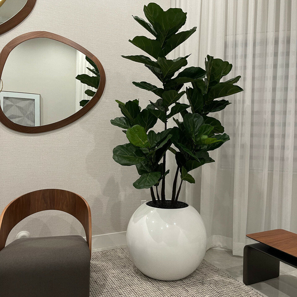 White Globe Vase 30" with Fiddle Tree