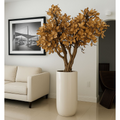 Magnolia Tree in Beige in Glossy White Pot – New Arrival