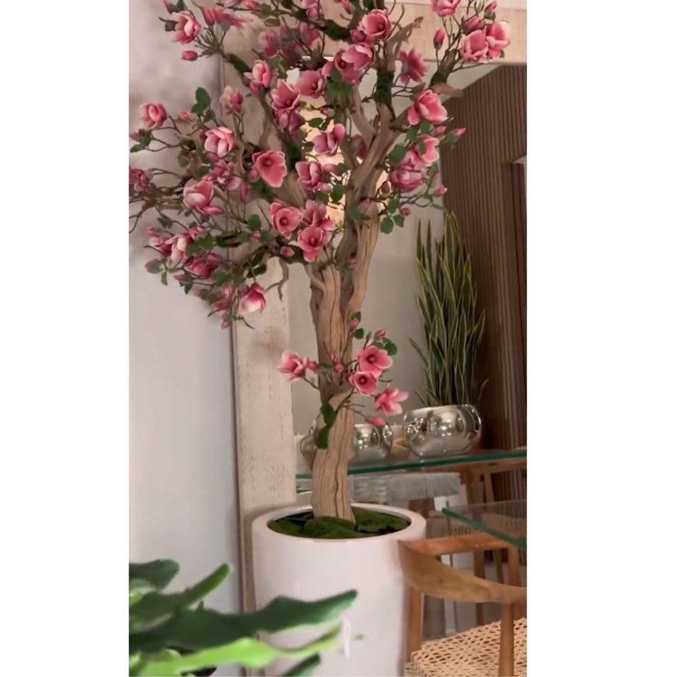 Pink Magnolia Tree in Pot St. Tr. Bright White Release