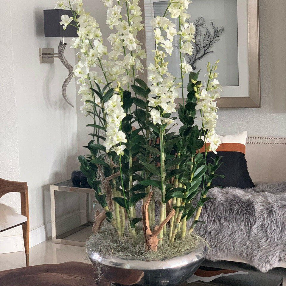Avenue Flower Box with Dendrobium Orchids