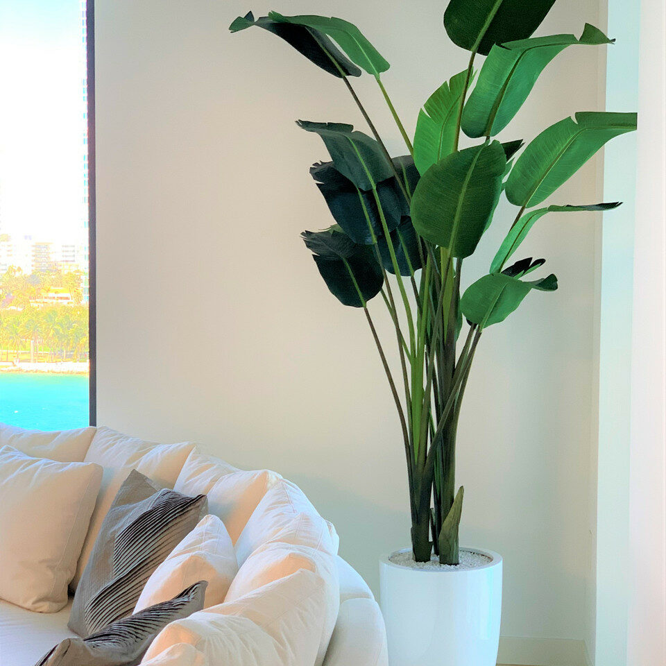 9-Foot Bird of Paradise with Shiny White Pot