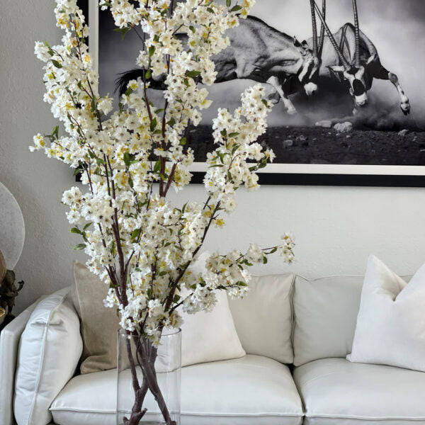 Cherry Blossom in 16" Glass Cylinder